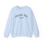 Chapel Bill Crewneck Sweatshirt - Curved - NC Est. 2025